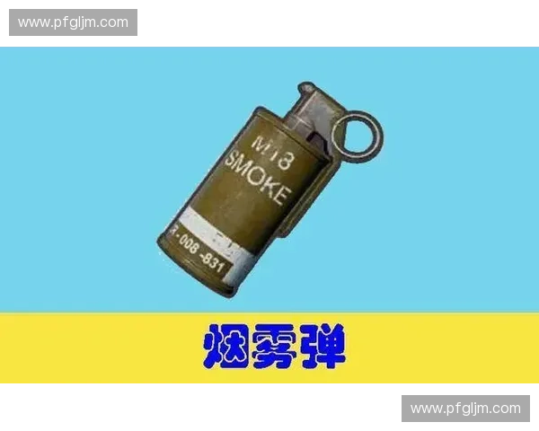 CSGO大牛教你如何从菜鸟变成高手的技巧与心得分享